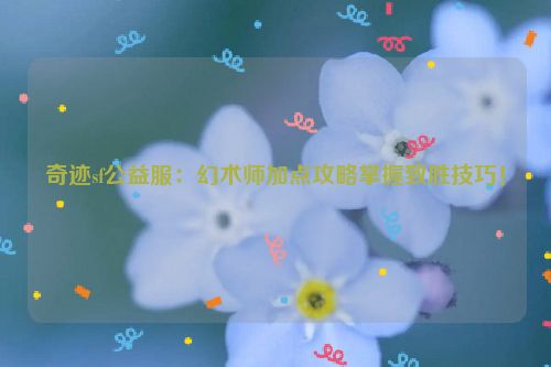 奇迹sf公益服：幻术师加点攻略掌握致胜技巧！