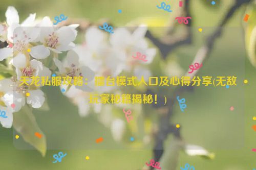 天龙私服攻略：擂台模式入口及心得分享(无敌玩家秘籍揭秘！)