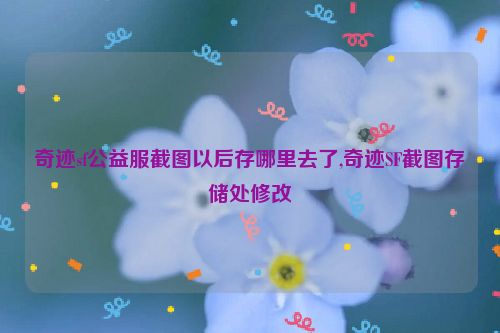 奇迹sf公益服截图以后存哪里去了,奇迹SF截图存储处修改