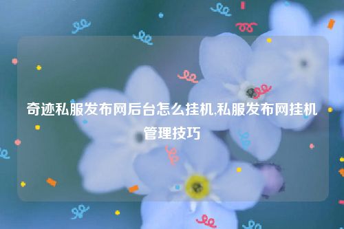 奇迹私服发布网后台怎么挂机,私服发布网挂机管理技巧