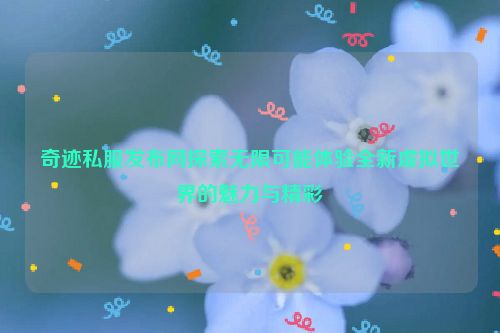 奇迹私服发布网探索无限可能体验全新虚拟世界的魅力与精彩