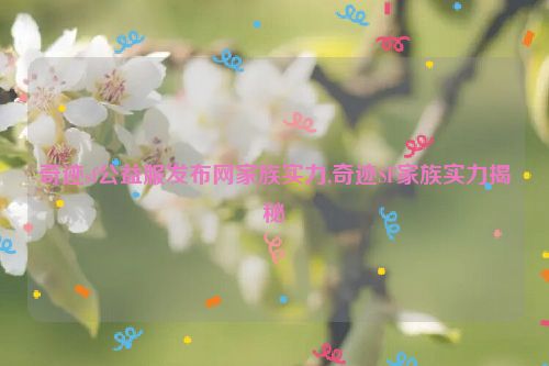 奇迹sf公益服发布网家族实力,奇迹SF家族实力揭秘