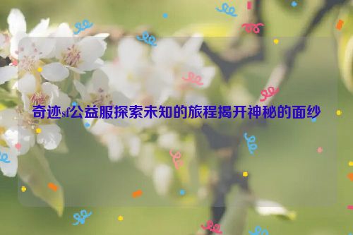 奇迹sf公益服探索未知的旅程揭开神秘的面纱