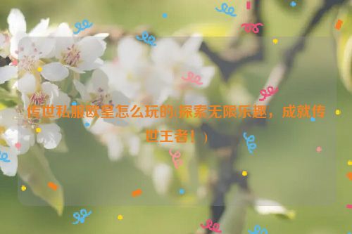 传世私服欧皇怎么玩的(探索无限乐趣，成就传世王者！)