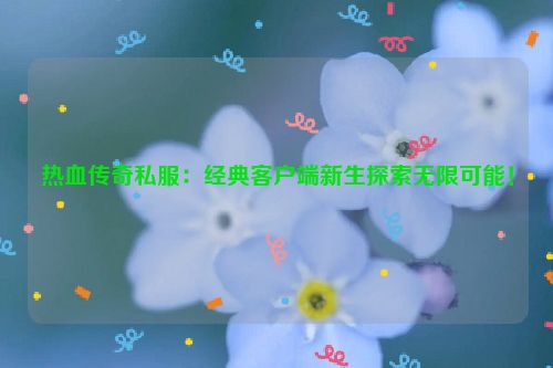 热血传奇私服：经典客户端新生探索无限可能！