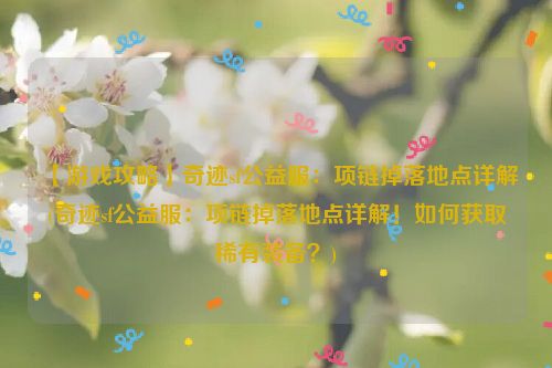 【游戏攻略】奇迹sf公益服：项链掉落地点详解(奇迹sf公益服：项链掉落地点详解！如何获取稀有装备？)