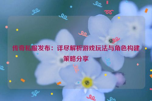 传奇私服发布：详尽解析游戏玩法与角色构建策略分享