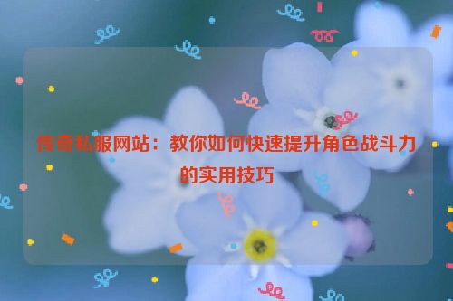 传奇私服网站：教你如何快速提升角色战斗力的实用技巧