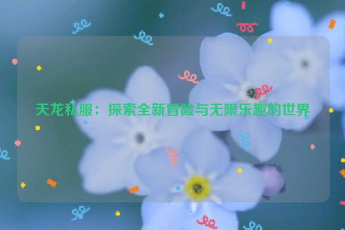 天龙私服：探索全新冒险与无限乐趣的世界