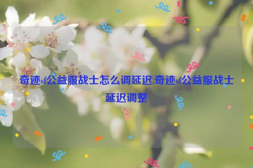 奇迹sf公益服战士怎么调延迟,奇迹sf公益服战士延迟调整