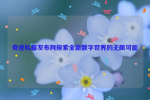 奇迹私服发布网探索全新数字世界的无限可能