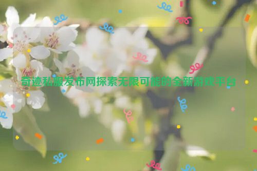 奇迹私服发布网探索无限可能的全新游戏平台