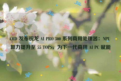 AMD 发布锐龙 AI PRO 300 系列商用处理器：NPU 算力提升至 55 TOPS，为下一代商用 AI PC 赋能