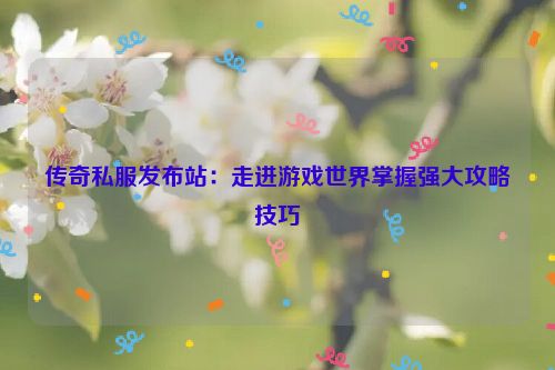 传奇私服发布站：走进游戏世界掌握强大攻略技巧