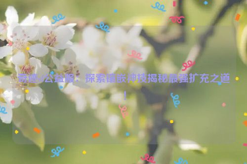 奇迹sf公益服：探索镶嵌神技揭秘最强扩充之道！