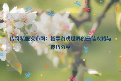 传奇私服发布网：畅享游戏世界的最佳攻略与技巧分享