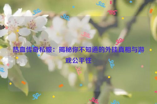 热血传奇私服：揭秘你不知道的外挂真相与游戏公平性