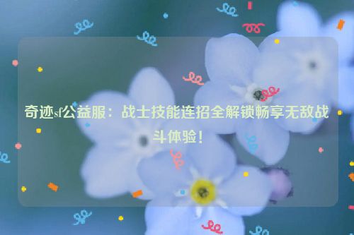 奇迹sf公益服：战士技能连招全解锁畅享无敌战斗体验！