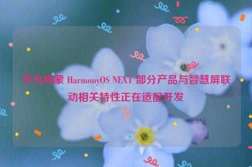 华为鸿蒙 HarmonyOS NEXT 部分产品与智慧屏联动相关特性正在适配开发