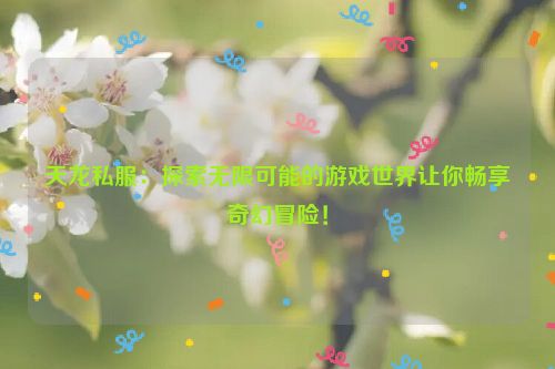 天龙私服：探索无限可能的游戏世界让你畅享奇幻冒险！