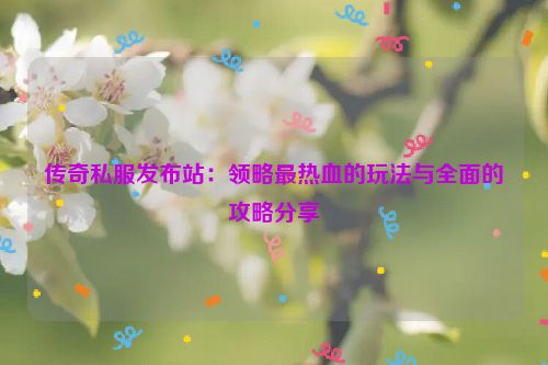 传奇私服发布站：领略最热血的玩法与全面的攻略分享