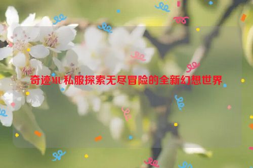 奇迹MU私服探索无尽冒险的全新幻想世界