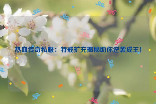 热血传奇私服：特戒扩充揭秘助你逆袭成王！