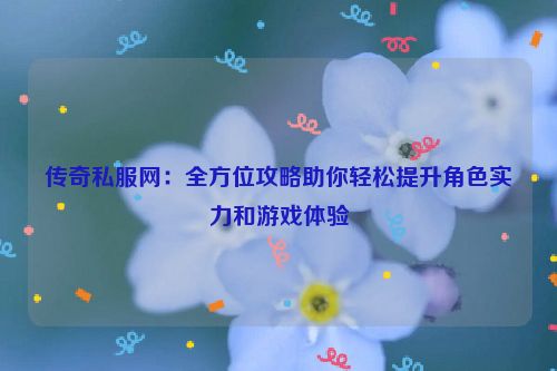 传奇私服网：全方位攻略助你轻松提升角色实力和游戏体验