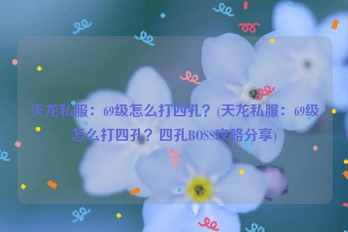 天龙私服：69级怎么打四孔？(天龙私服：69级怎么打四孔？四孔BOSS攻略分享)