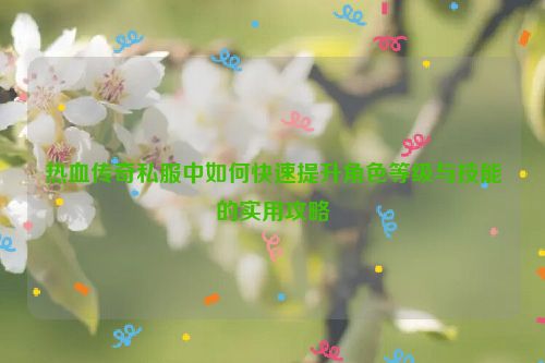 热血传奇私服中如何快速提升角色等级与技能的实用攻略