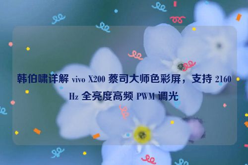 韩伯啸详解 vivo X200 蔡司大师色彩屏，支持 2160Hz 全亮度高频 PWM 调光