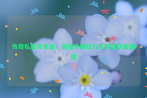 传奇私服发布站：高效升级技巧与装备获取策略