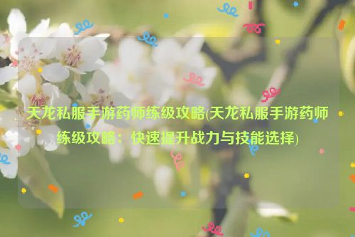 天龙私服手游药师练级攻略(天龙私服手游药师练级攻略：快速提升战力与技能选择)