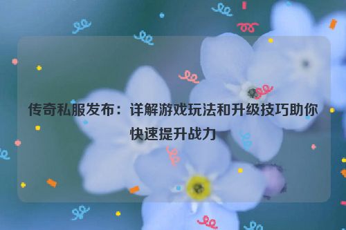 传奇私服发布：详解游戏玩法和升级技巧助你快速提升战力