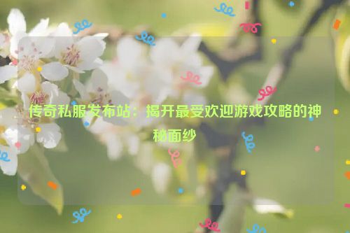 传奇私服发布站：揭开最受欢迎游戏攻略的神秘面纱