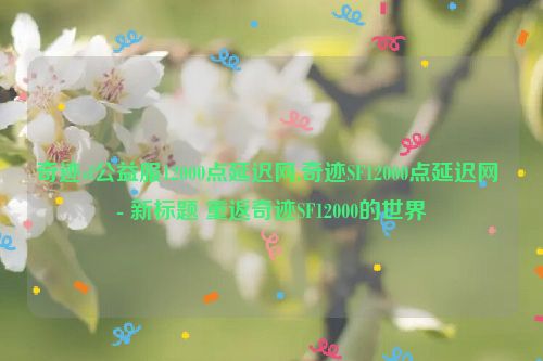 奇迹sf公益服12000点延迟网,奇迹SF12000点延迟网 - 新标题 重返奇迹SF12000的世界