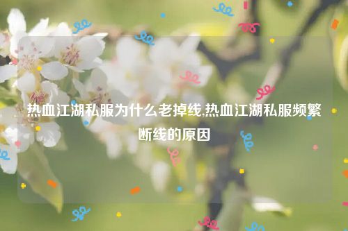 热血江湖私服为什么老掉线,热血江湖私服频繁断线的原因