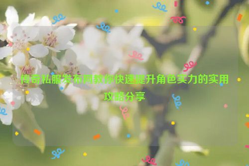 传奇私服发布网教你快速提升角色实力的实用攻略分享