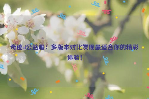 奇迹sf公益服：多版本对比发现最适合你的精彩体验！