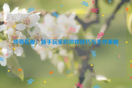 传奇私服：新手玩家的游戏技巧与生存策略