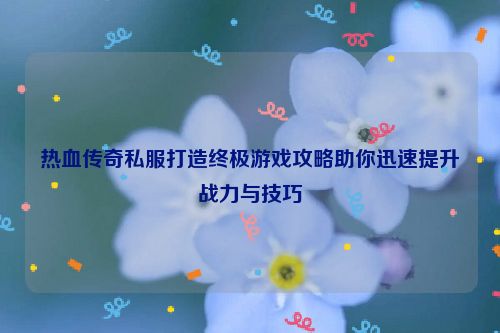 热血传奇私服打造终极游戏攻略助你迅速提升战力与技巧