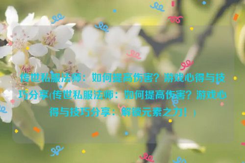 传世私服法师：如何提高伤害？游戏心得与技巧分享(传世私服法师：如何提高伤害？游戏心得与技巧分享：解锁元素之力！)