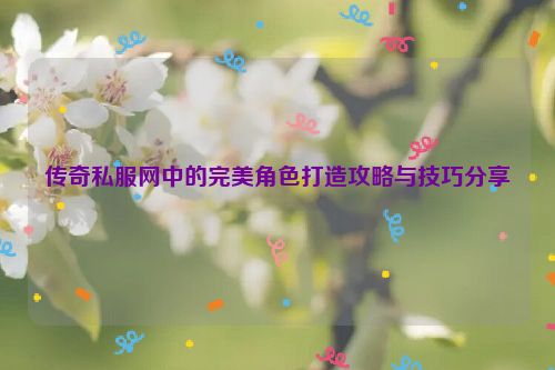 传奇私服网中的完美角色打造攻略与技巧分享