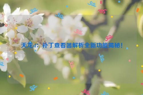 天龙sf：补丁查看器解析全新功能揭秘！