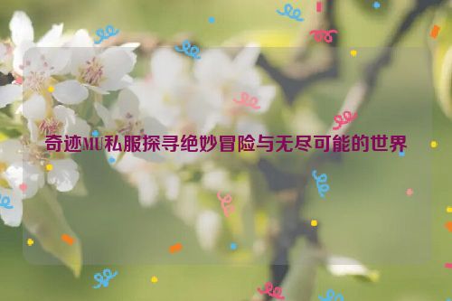 奇迹MU私服探寻绝妙冒险与无尽可能的世界