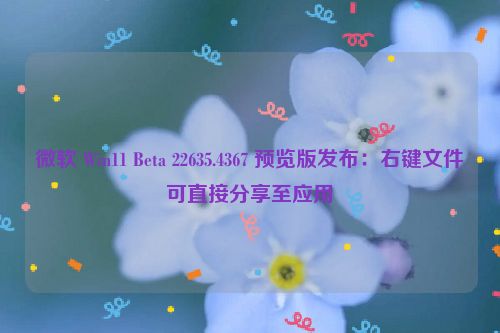 微软 Win11 Beta 22635.4367 预览版发布：右键文件可直接分享至应用