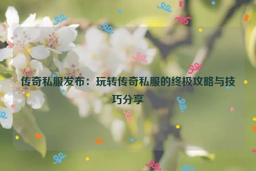 传奇私服发布：玩转传奇私服的终极攻略与技巧分享