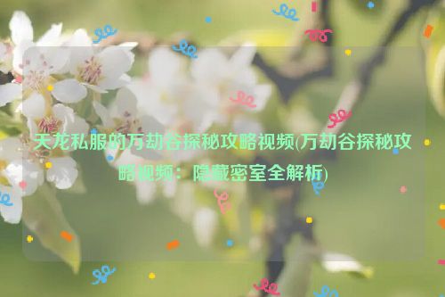 天龙私服的万劫谷探秘攻略视频(万劫谷探秘攻略视频：隐藏密室全解析)