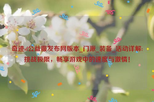 奇迹sf公益服发布网版本_门派_装备_活动详解:挑战极限，畅享游戏中的速度与激情！