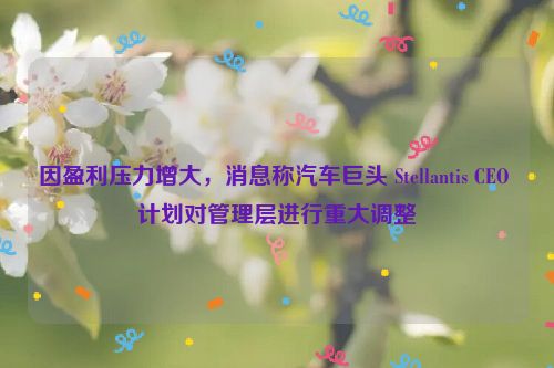 因盈利压力增大，消息称汽车巨头 Stellantis CEO 计划对管理层进行重大调整